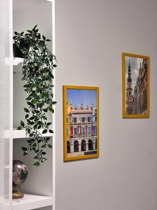 Apartament Zamojski Mlynska Zamosc  Exterior photo