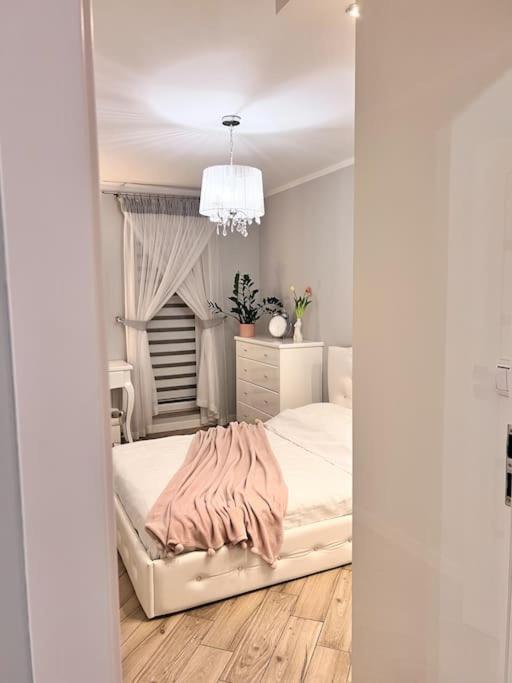 Apartament Zamojski Mlynska Zamosc  Exterior photo